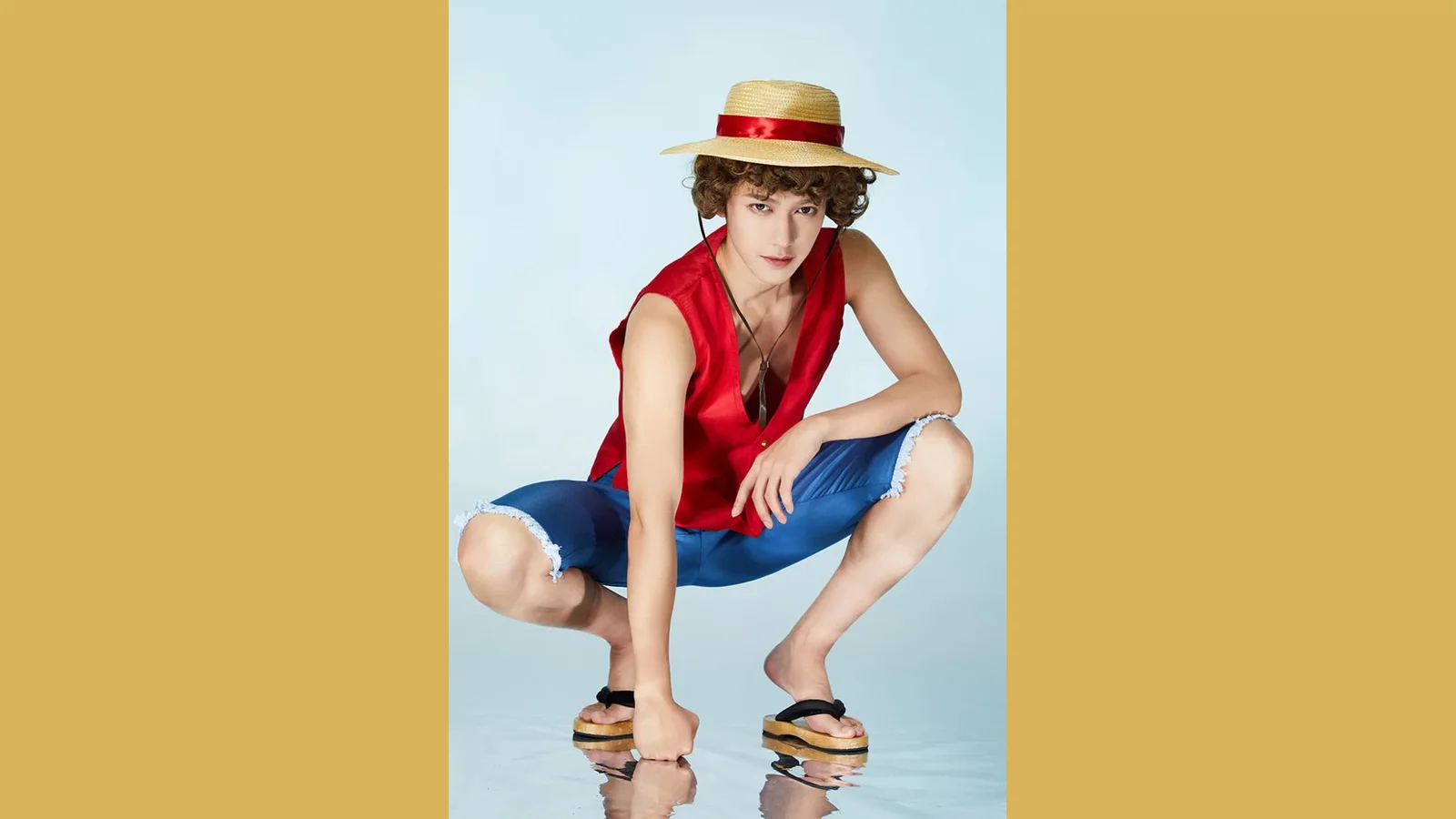 Monkey D. Luffy from One Piece, cosplay reference board cover