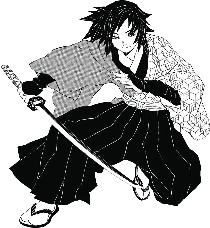 Giyu Tomioka full body haori official art Demon Slayer reference