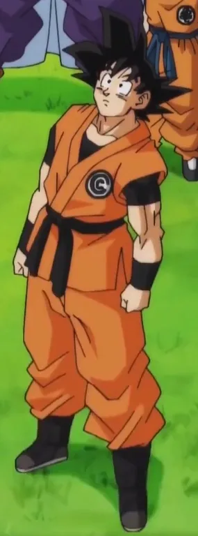 Goku boots and blue wristbands close up reference