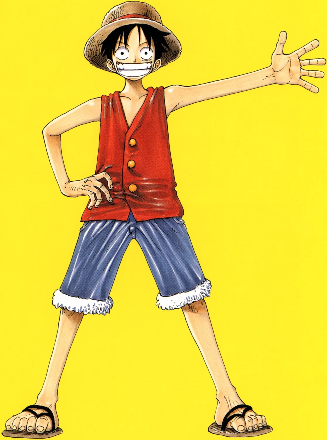 Monkey D. Luffy full body red vest blue shorts straw hat reference