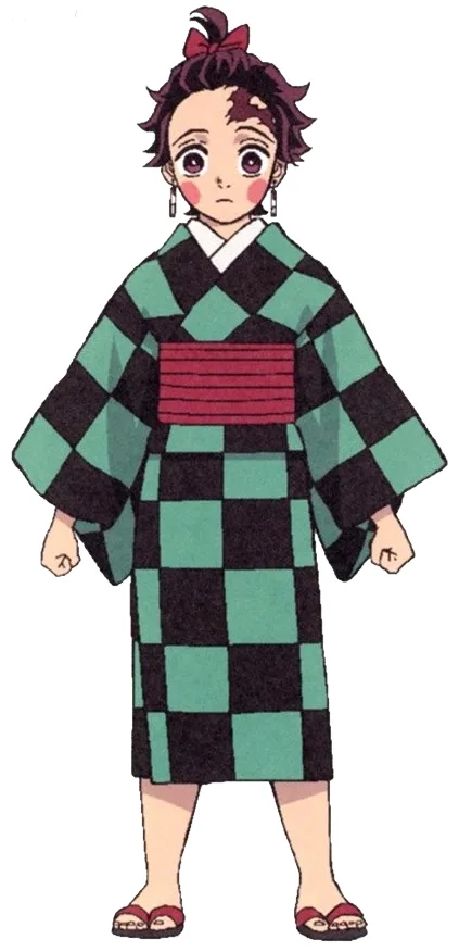 Tanjiro checkered haori pattern close up back and front reference