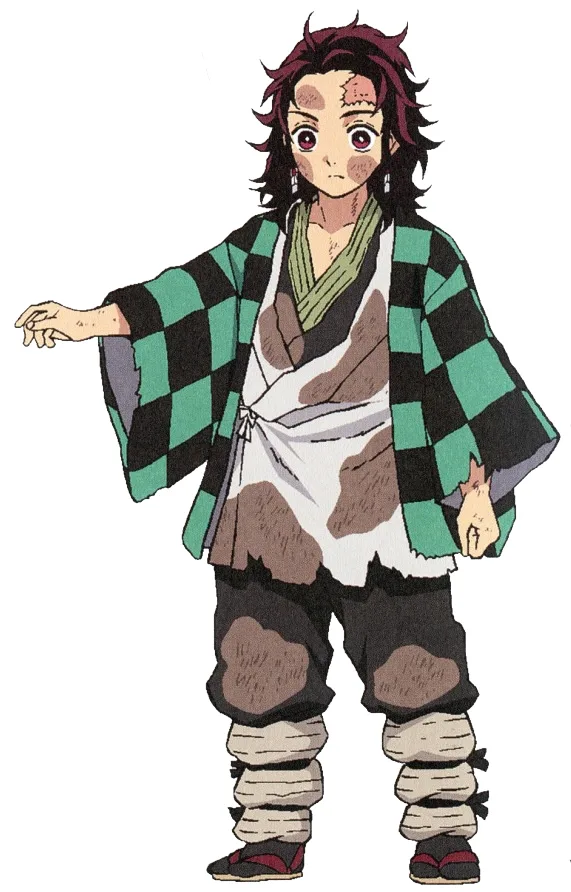 Tanjiro Kamado reference 2