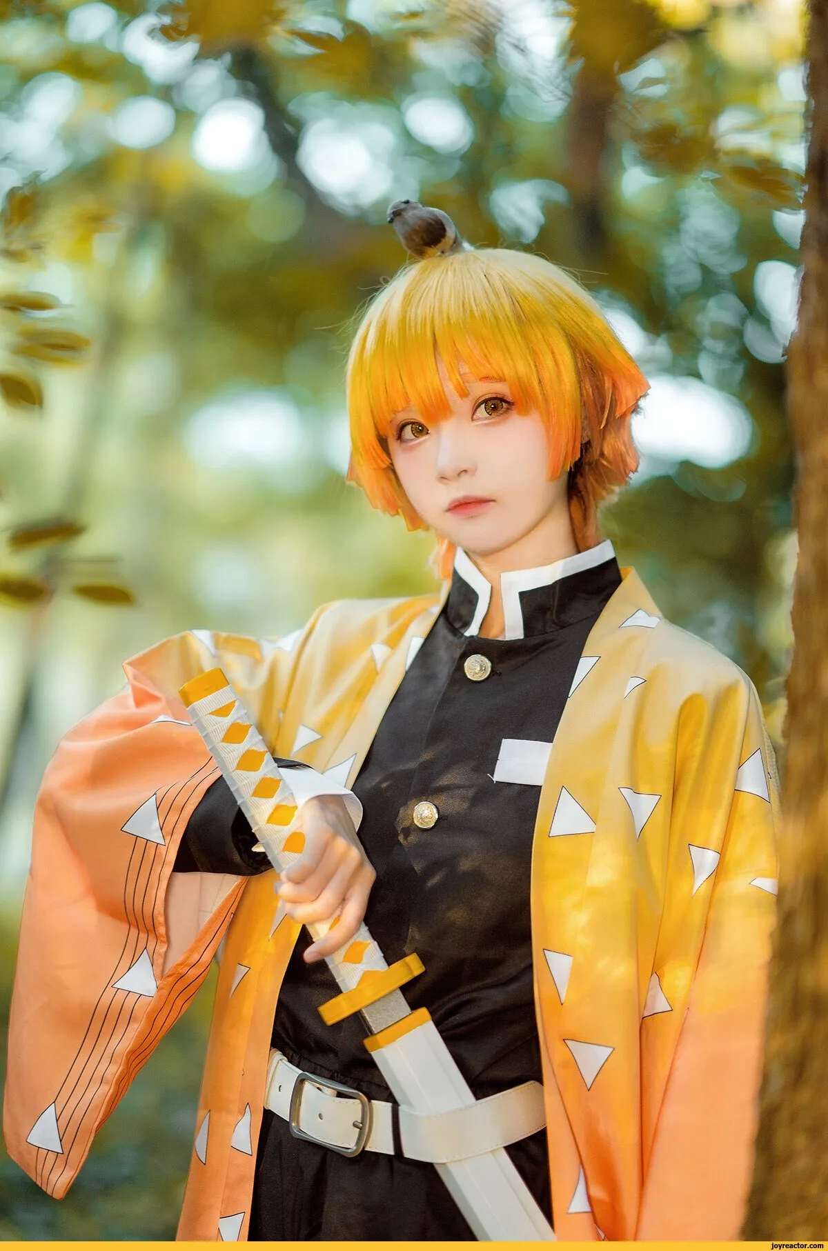 Zenitsu Agatsuma cosplay yellow haori reference